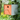 Twitter Orange Vogelhaus Keilbach Abb. Ambeinte