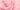 a close up of a pink flower on a pink background