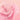 a close up of a pink flower on a pink background