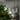 Modern office interior with reflective wall and plant.