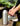 Tabi Isolierflasche 1 l.