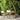 Jan Kurtz Samoa Gartentisch aus Teakholz – Langlebig & Stilvoll